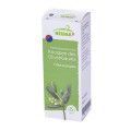 GEMMOMAZERAT Olea europaea Spray