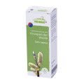 GEMMOMAZERAT Salix caprea Spray